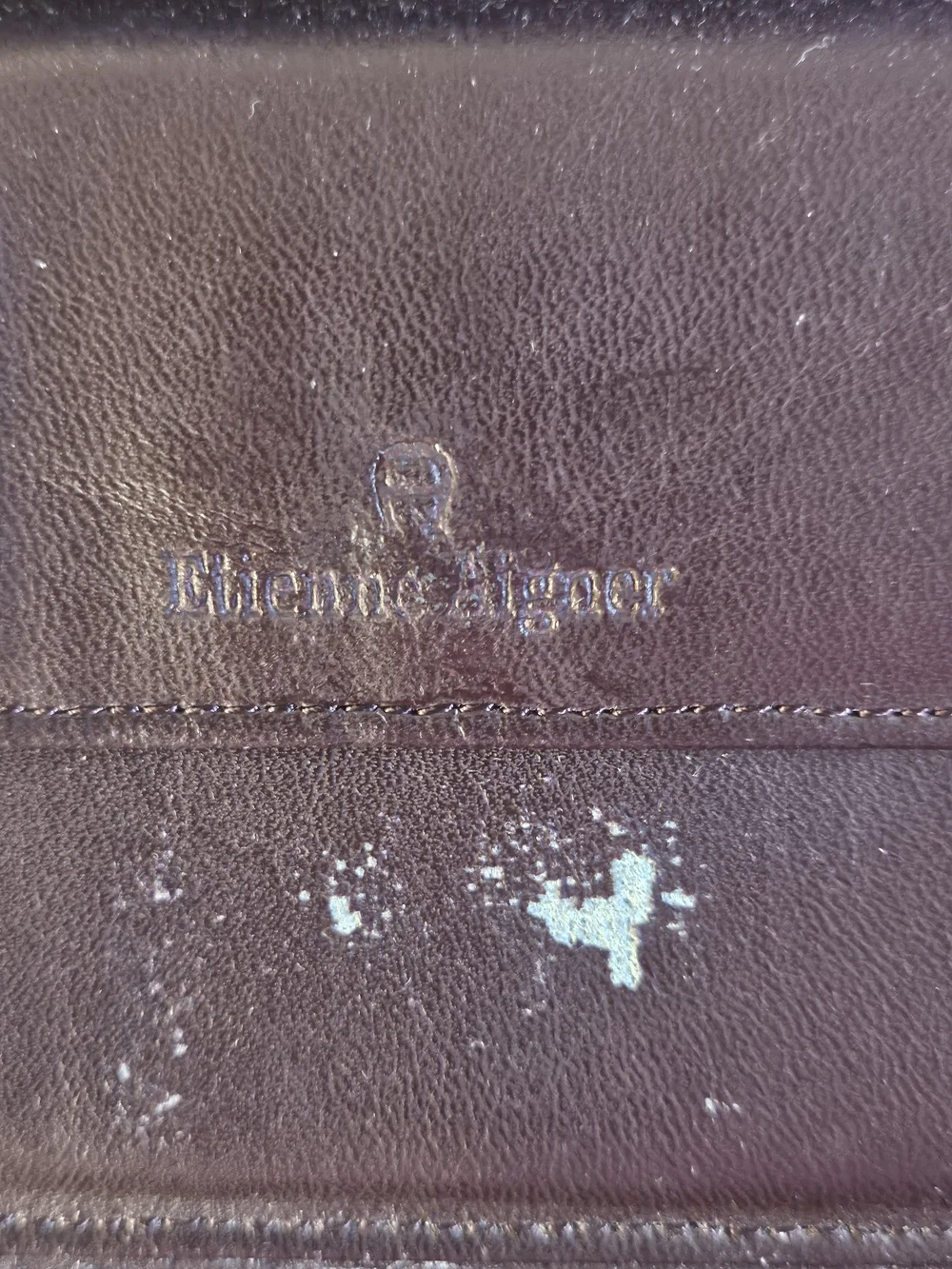 Etienne Aigner Wallet with Gold 